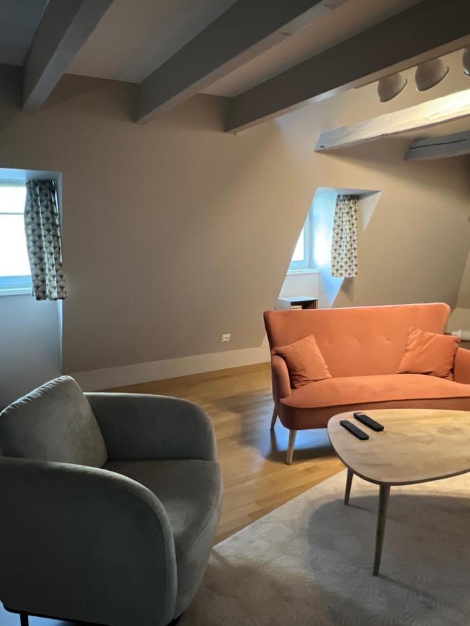 Duplex Atypique Au Coeur De Mulhouse Lejlighed Eksteriør billede