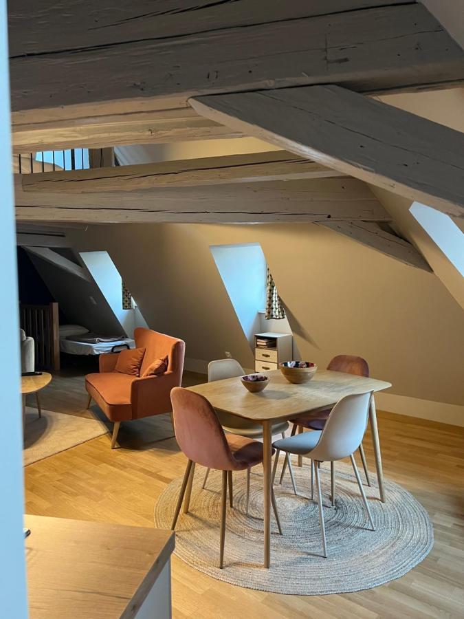 Duplex Atypique Au Coeur De Mulhouse Lejlighed Eksteriør billede