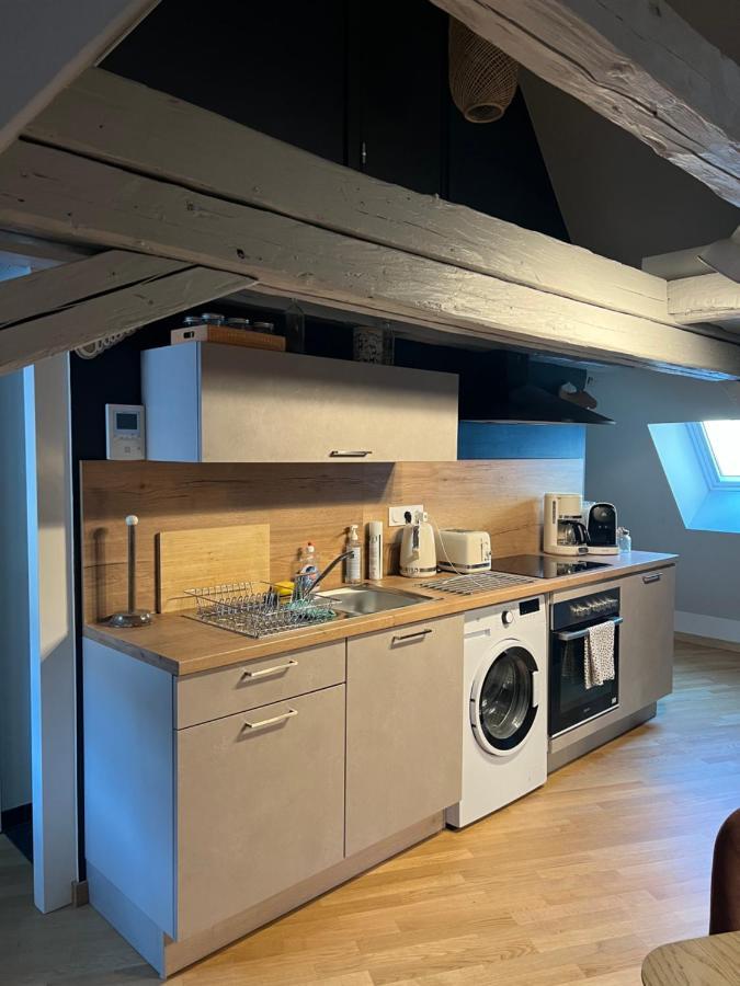 Duplex Atypique Au Coeur De Mulhouse Lejlighed Eksteriør billede