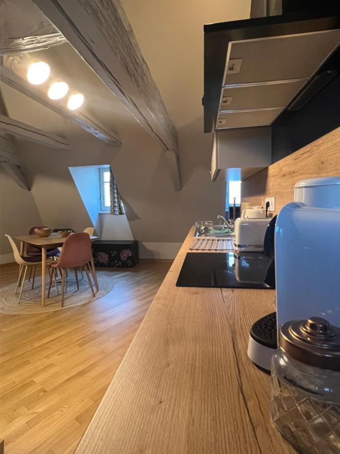 Duplex Atypique Au Coeur De Mulhouse Lejlighed Eksteriør billede