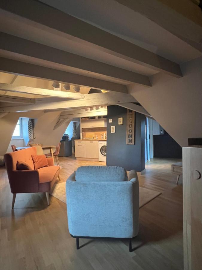 Duplex Atypique Au Coeur De Mulhouse Lejlighed Eksteriør billede
